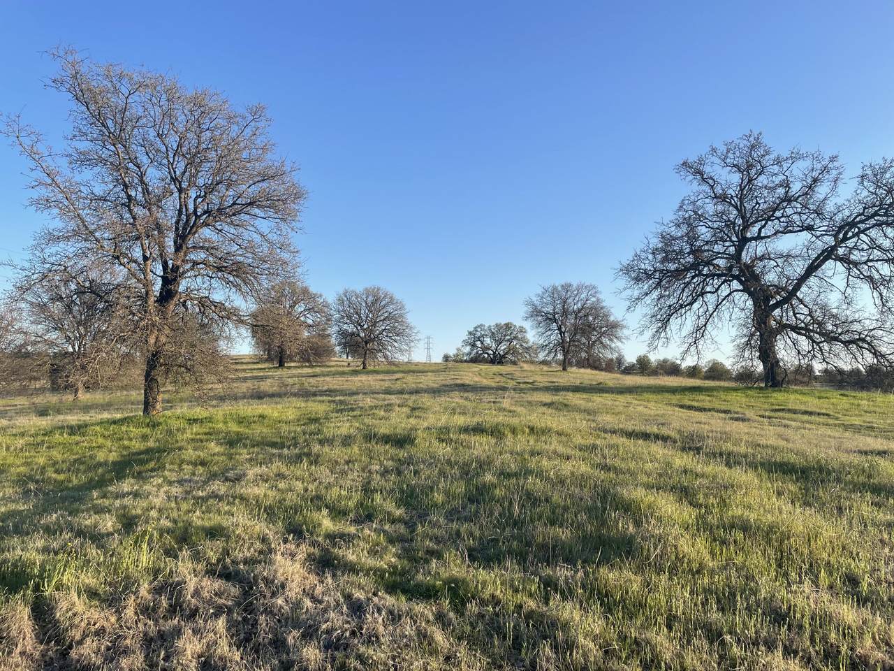LOT 55 Arlington Park Place - Photo 1