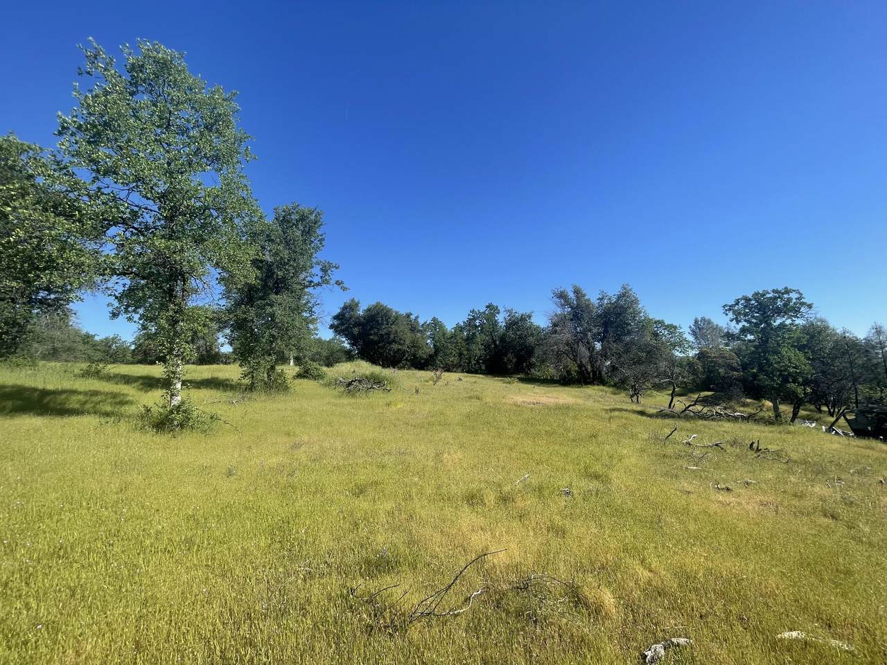 0000 Snavely Road - Photo 1