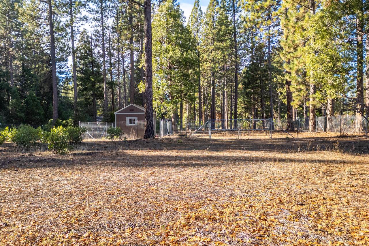 https://bt-photos.global.ssl.fastly.net/shasta/1280_boomver_1_26-2619-2.jpg