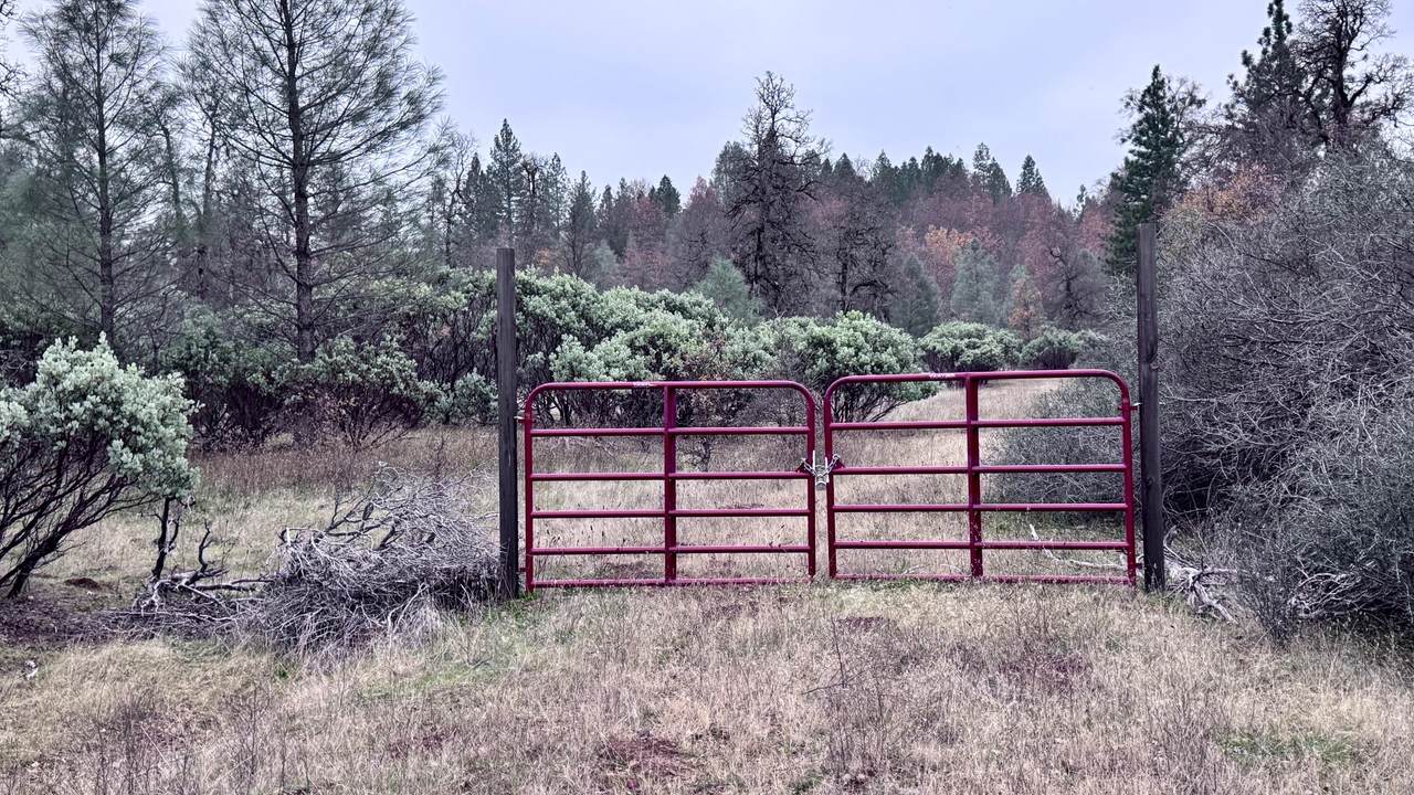  15.77 Acres, Dittman Road - Photo 1