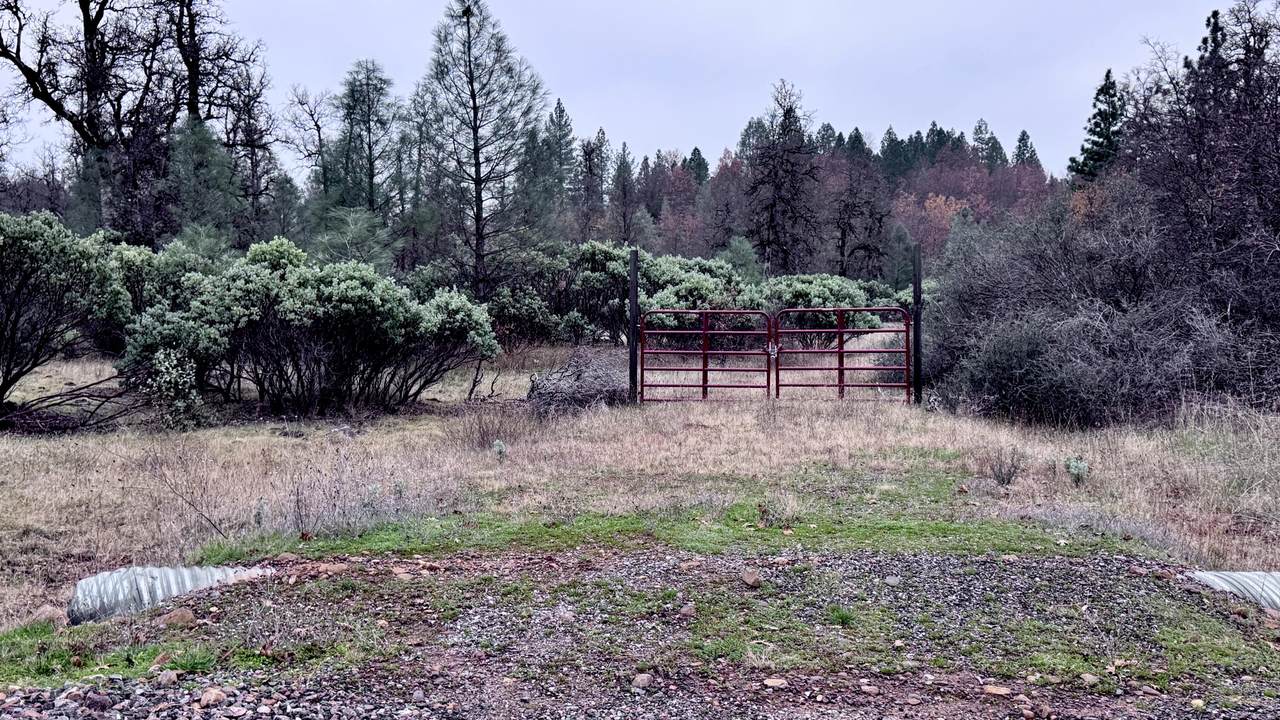 https://bt-photos.global.ssl.fastly.net/shasta/1280_boomver_1_26-2624-2.jpg