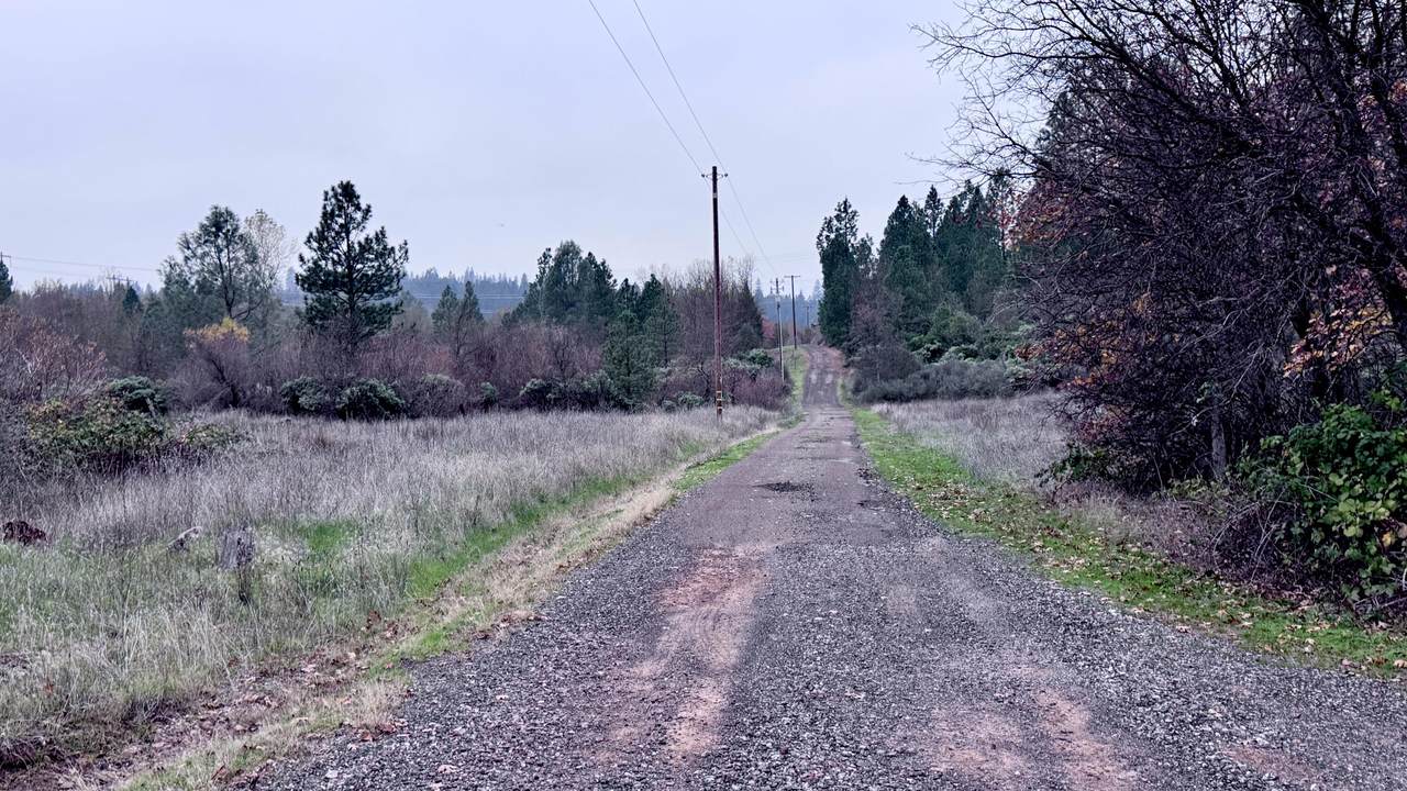 https://bt-photos.global.ssl.fastly.net/shasta/1280_boomver_1_26-2624-2.jpg