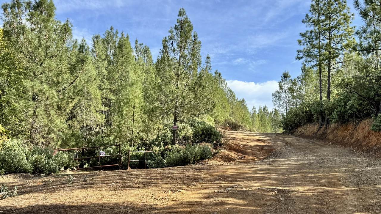  20 Acres Jones Valley - Photo 1