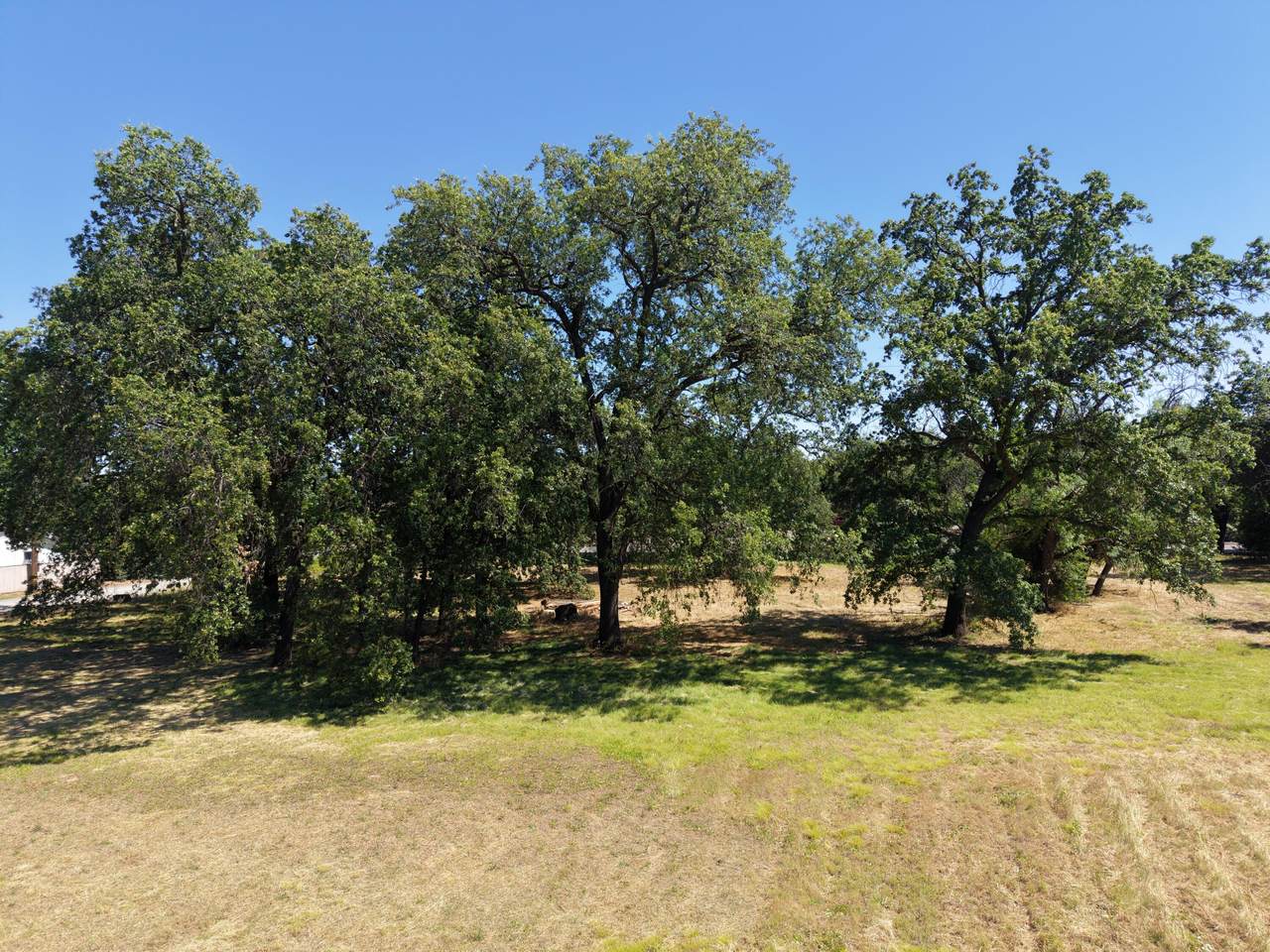 https://bt-photos.global.ssl.fastly.net/shasta/1280_boomver_1_26-2697-2.jpg