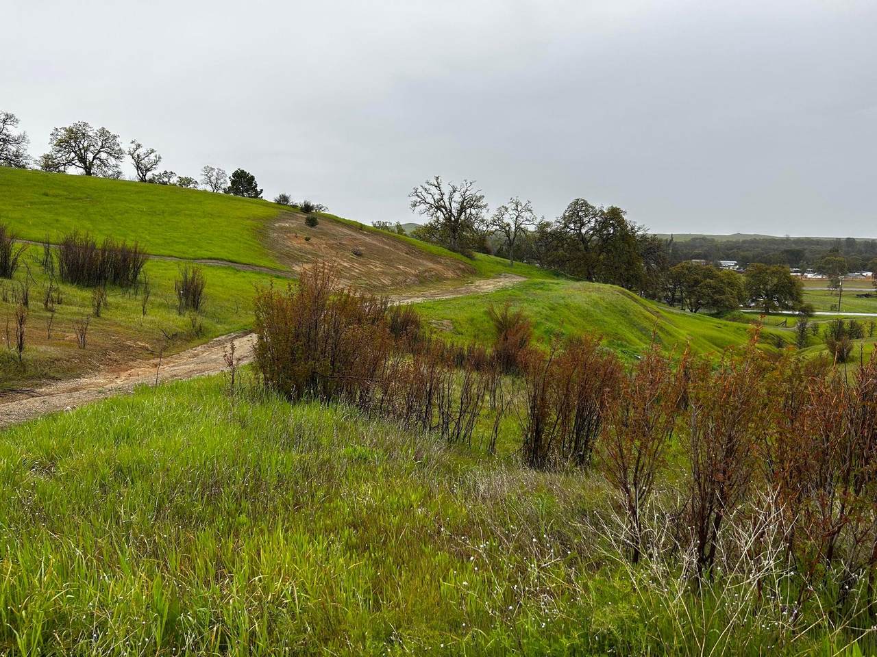 17260 Hillcrest Drive - Photo 1