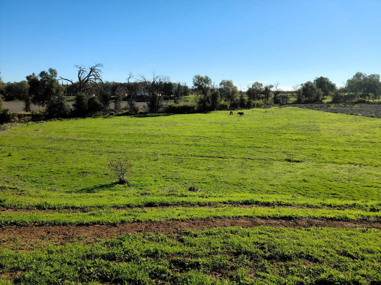 23743 Tehama Avenue - Photo 1