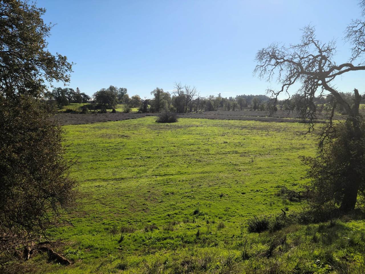 https://bt-photos.global.ssl.fastly.net/shasta/1280_boomver_1_26-2717-2.jpg