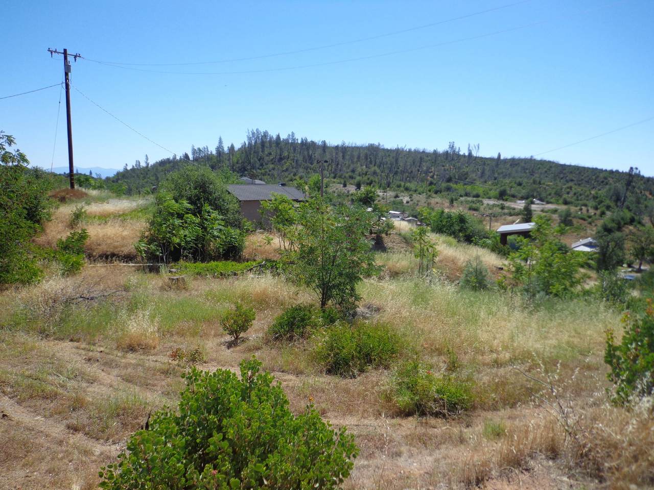 https://bt-photos.global.ssl.fastly.net/shasta/1280_boomver_1_26-2733-2.jpg