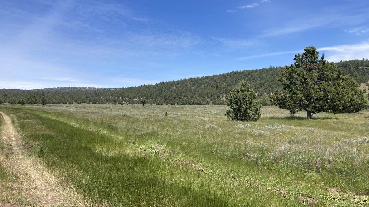 NSA Loomis Cabin Road - Photo 1