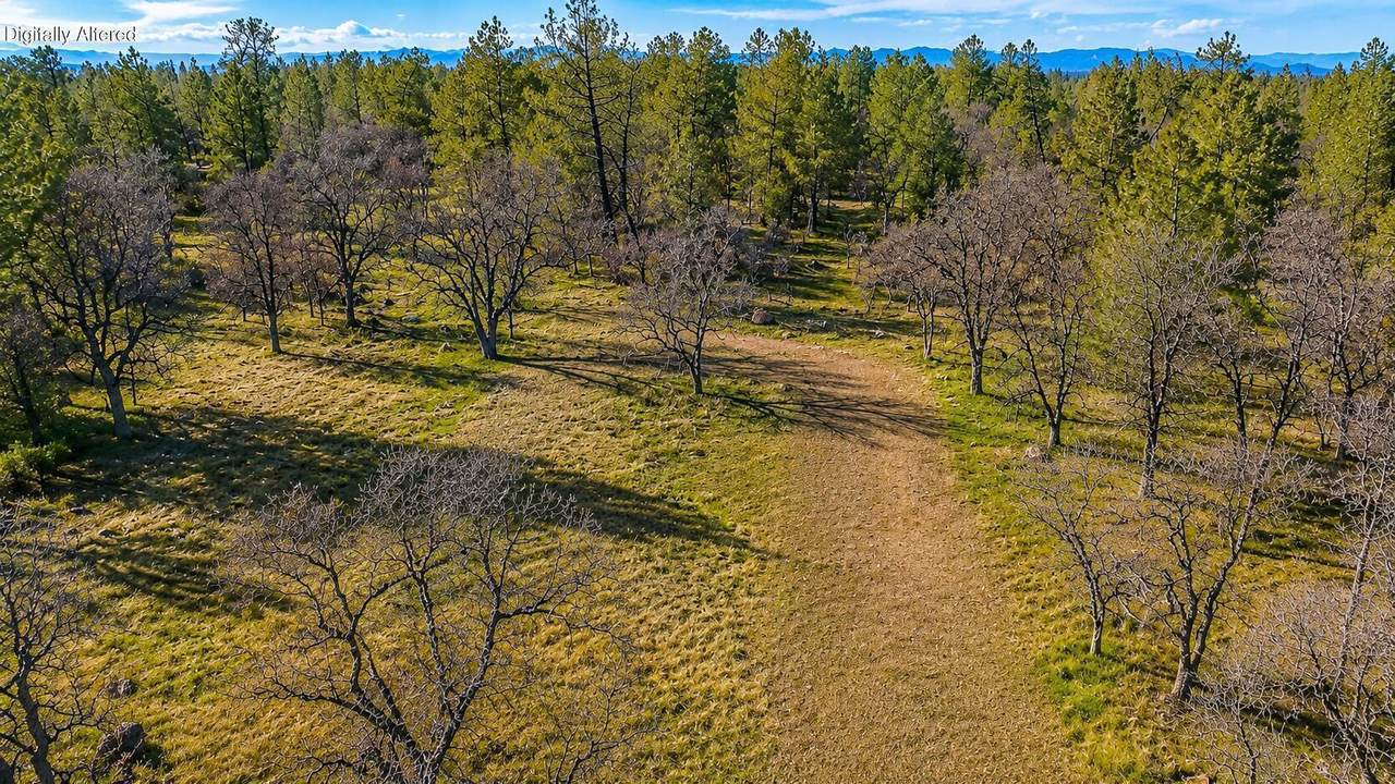  Cherith Brook Drive - Photo 1