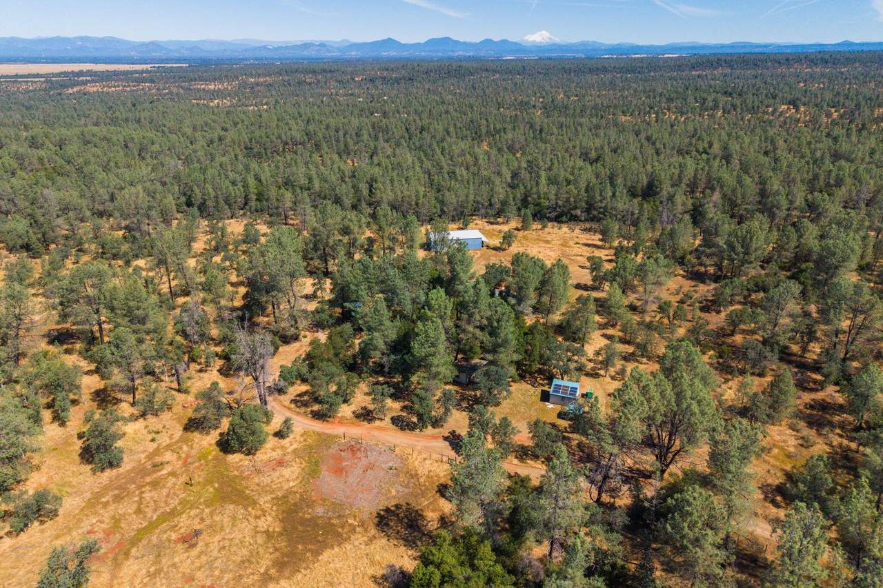 25350 Buffalo Drive - Photo 1