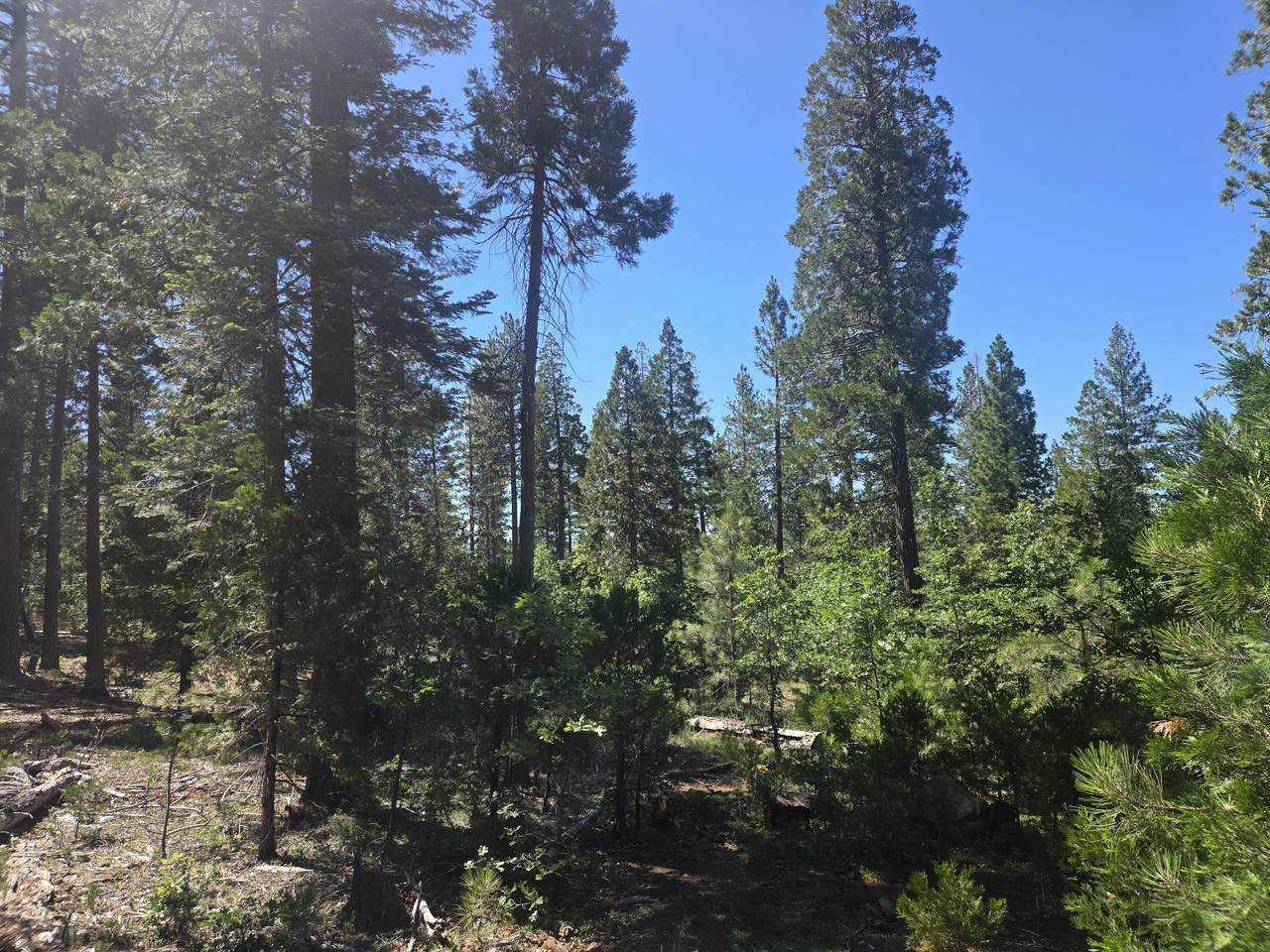 https://bt-photos.global.ssl.fastly.net/shasta/1280_boomver_1_26-2832-2.jpg