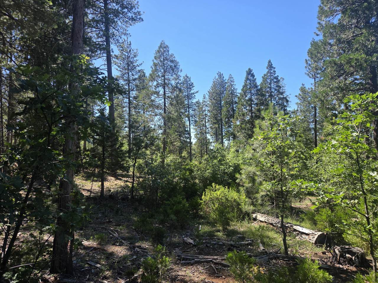 https://bt-photos.global.ssl.fastly.net/shasta/1280_boomver_1_26-2832-2.jpg