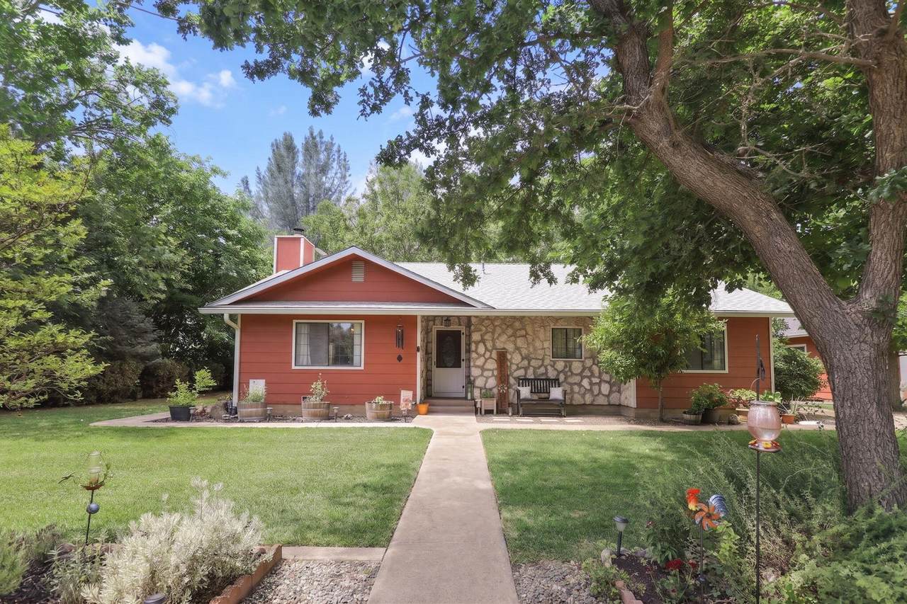 12481 Paskenta Road - Photo 1