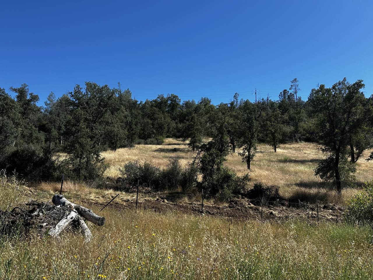 https://bt-photos.global.ssl.fastly.net/shasta/1280_boomver_1_26-2880-2.jpg