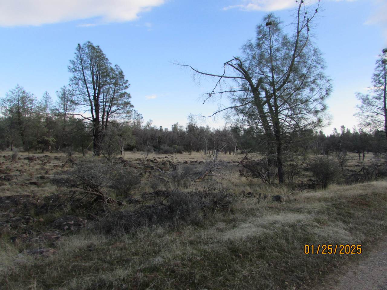 https://bt-photos.global.ssl.fastly.net/shasta/1280_boomver_1_26-2906-2.jpg