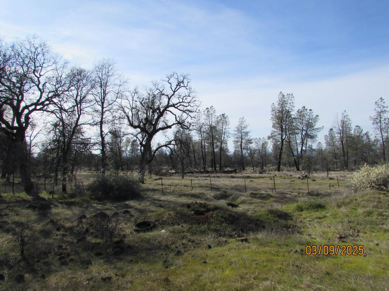 https://bt-photos.global.ssl.fastly.net/shasta/1280_boomver_1_26-2906-2.jpg