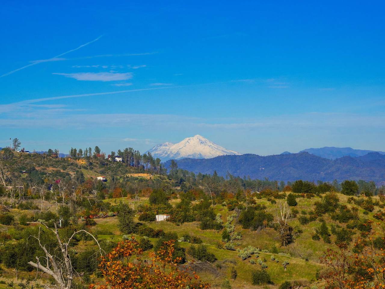 https://bt-photos.global.ssl.fastly.net/shasta/1280_boomver_1_26-2915-2.jpg