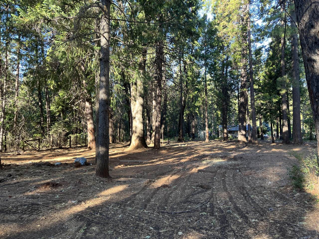 7076 Alward Way - Photo 1