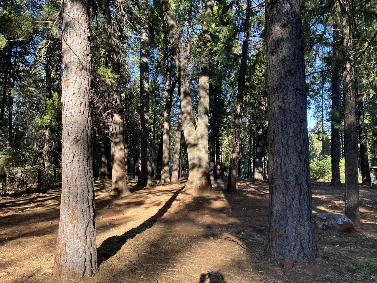 https://bt-photos.global.ssl.fastly.net/shasta/orig_boomver_1_26-2924-2.jpg