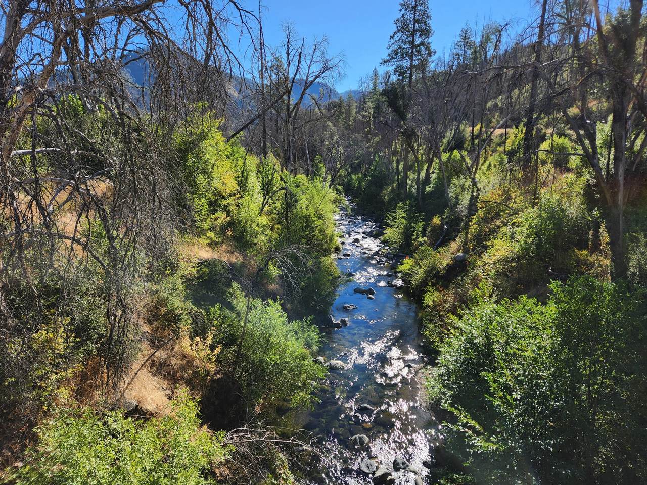 17031 Slate Creek Road - Photo 1