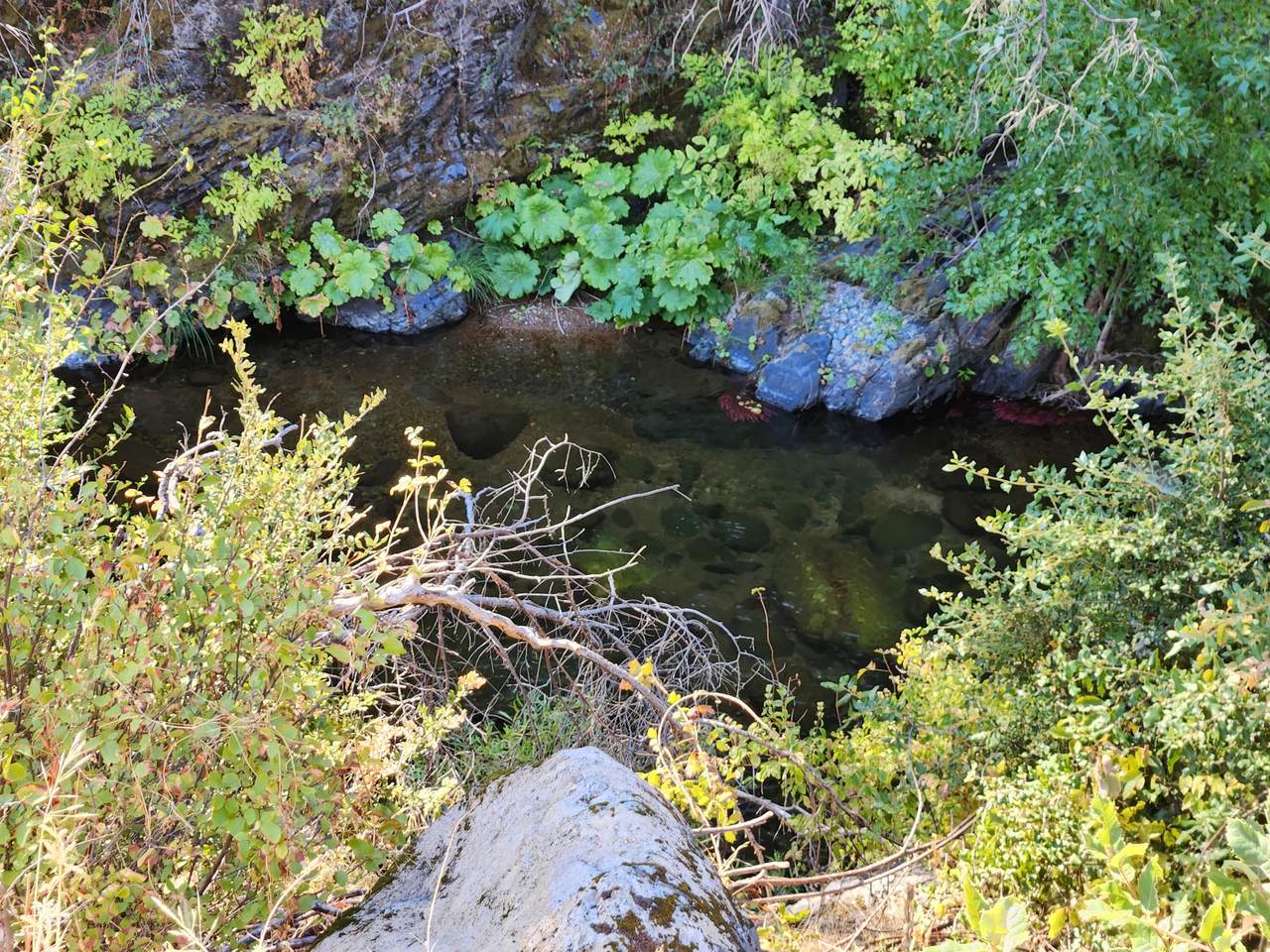 https://bt-photos.global.ssl.fastly.net/shasta/1280_boomver_1_26-2929-2.jpg
