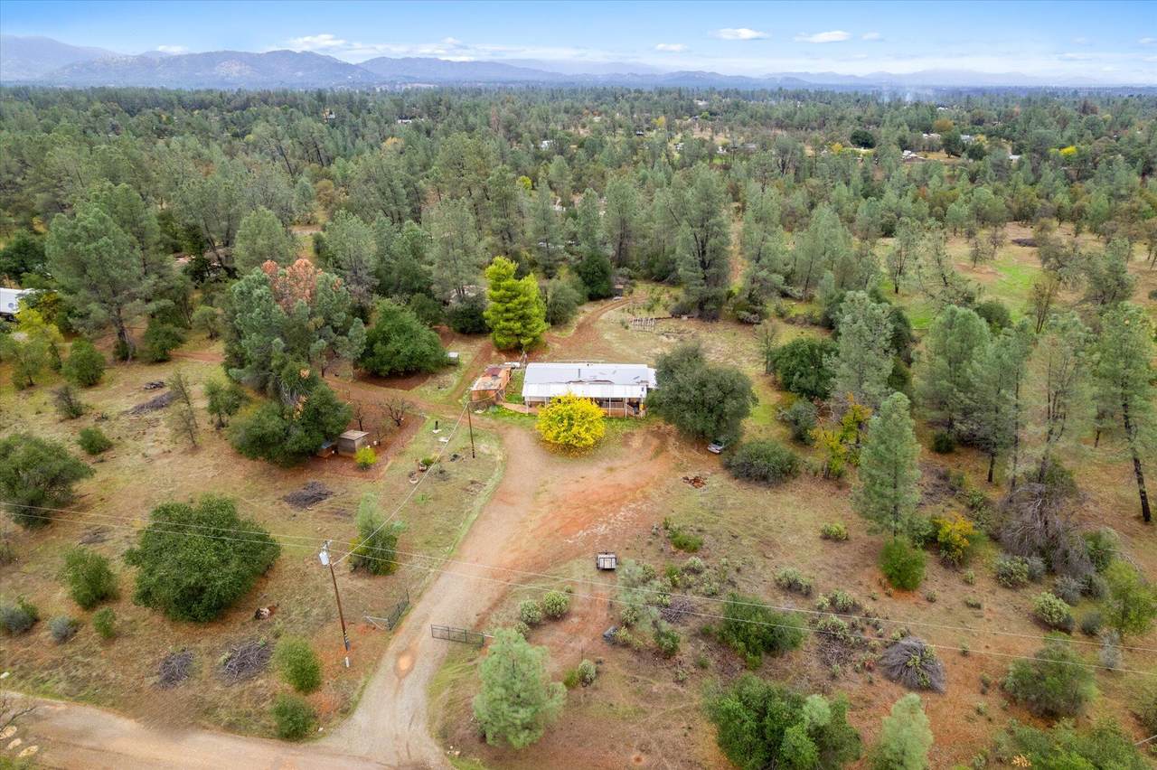 16578 Blue Horse Road - Photo 1