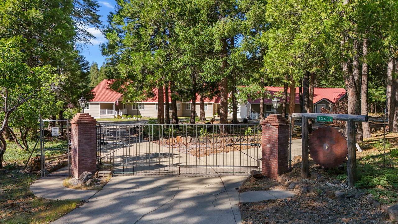 32602 Three Oaks Drive - Photo 1