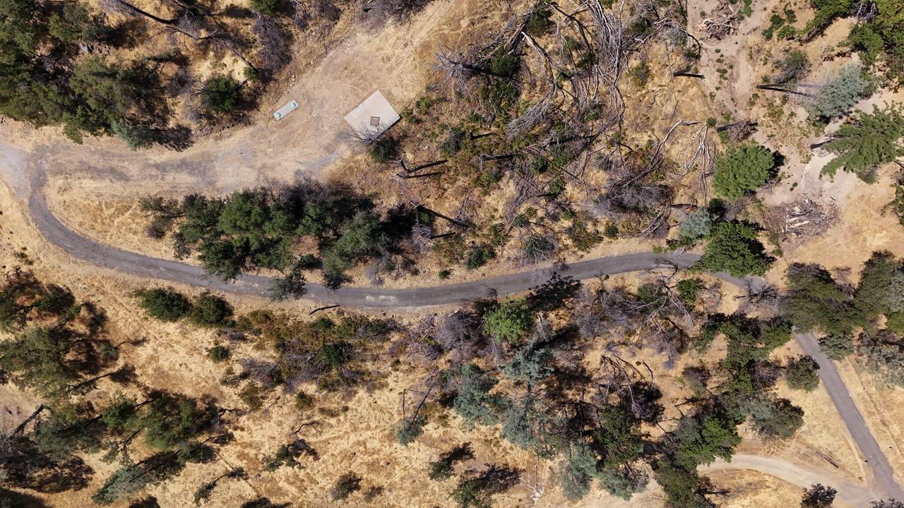 14020 Windfall Drive - Photo 1