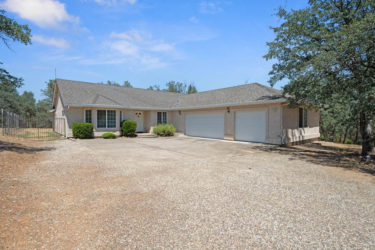 16640 Power Line Road - Photo 1