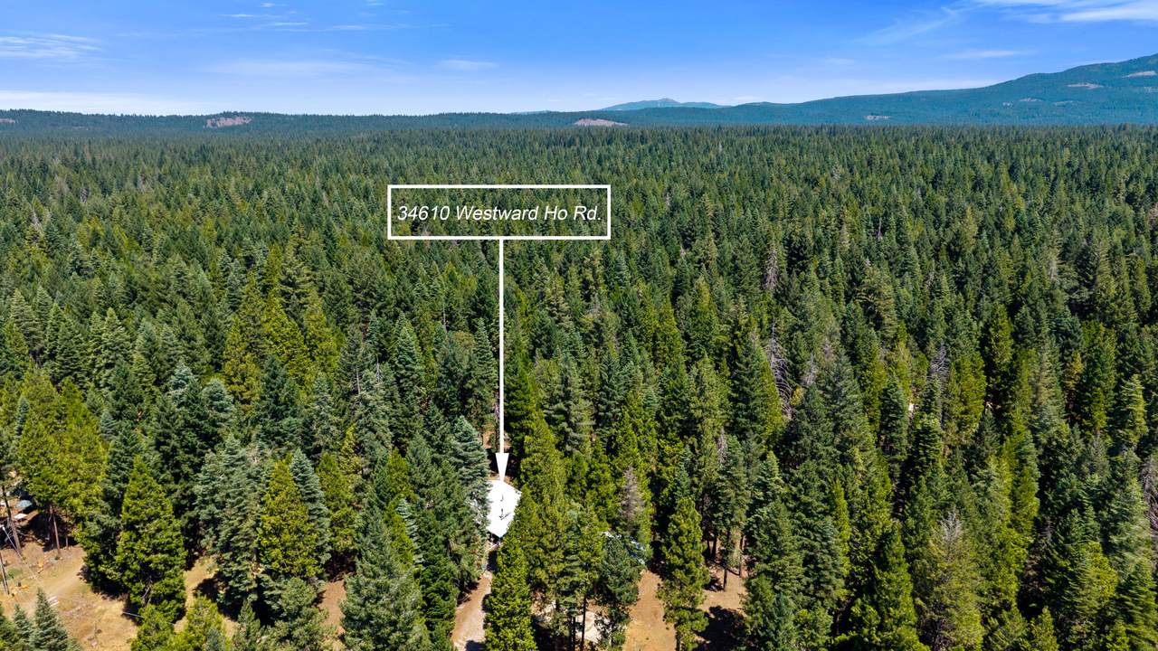 34610 Westward Ho Road - Photo 1
