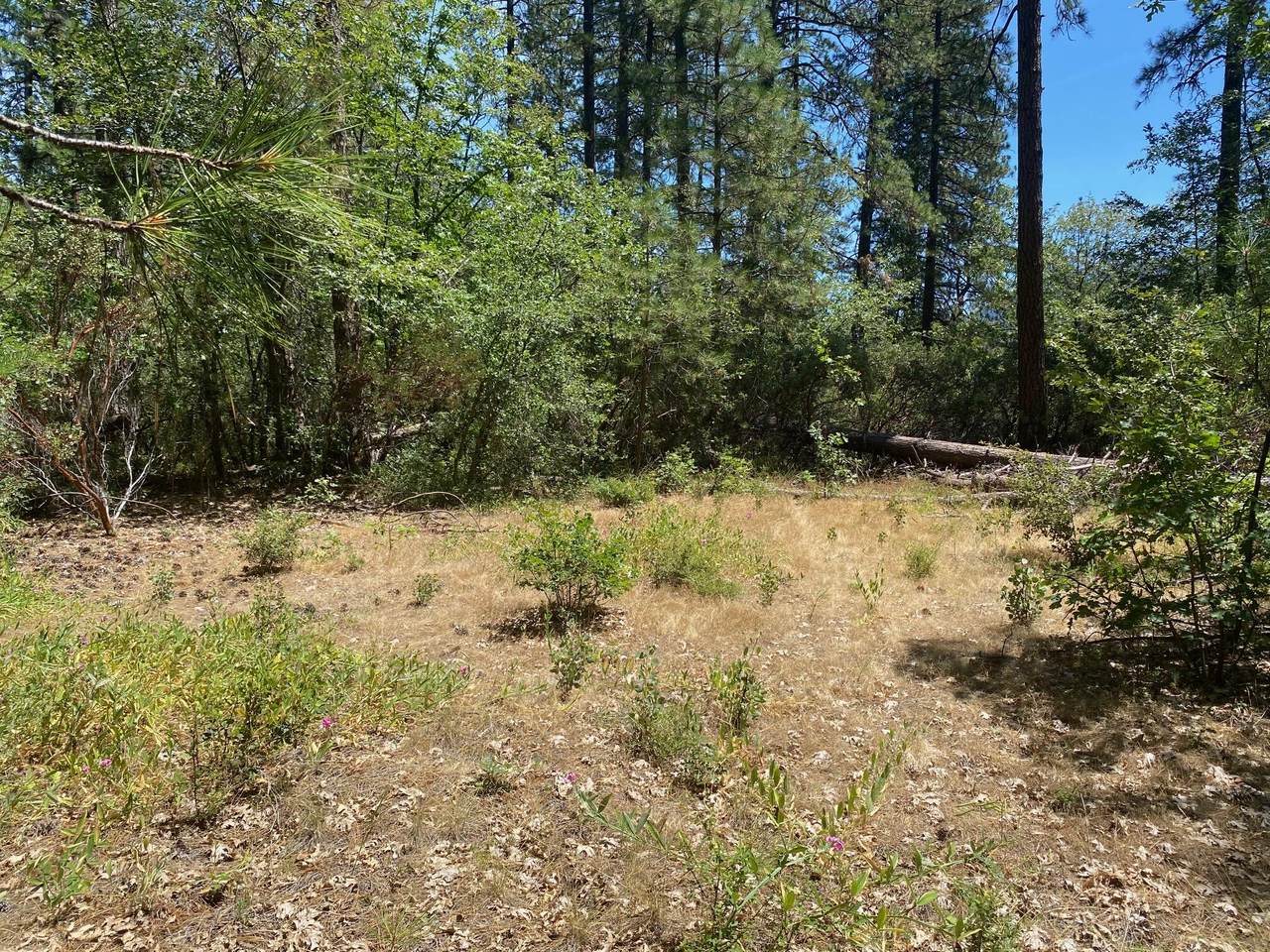 https://bt-photos.global.ssl.fastly.net/shasta/1280_boomver_1_26-3119-2.jpg