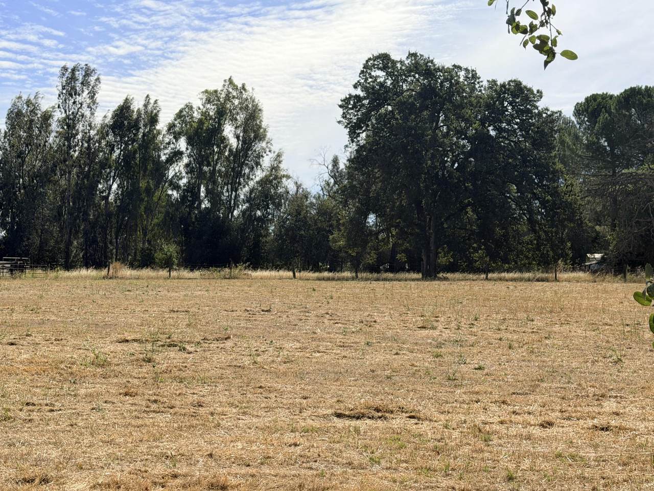  Deschutes Road - Photo 1