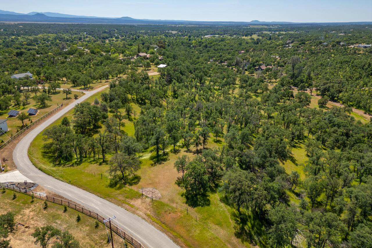  Woodview Drive - Photo 1
