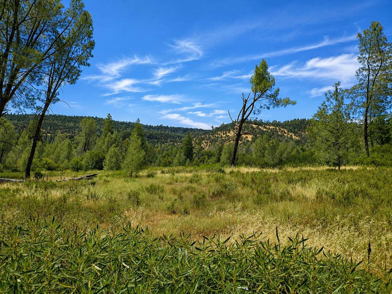  Battle View Drive - Photo 1