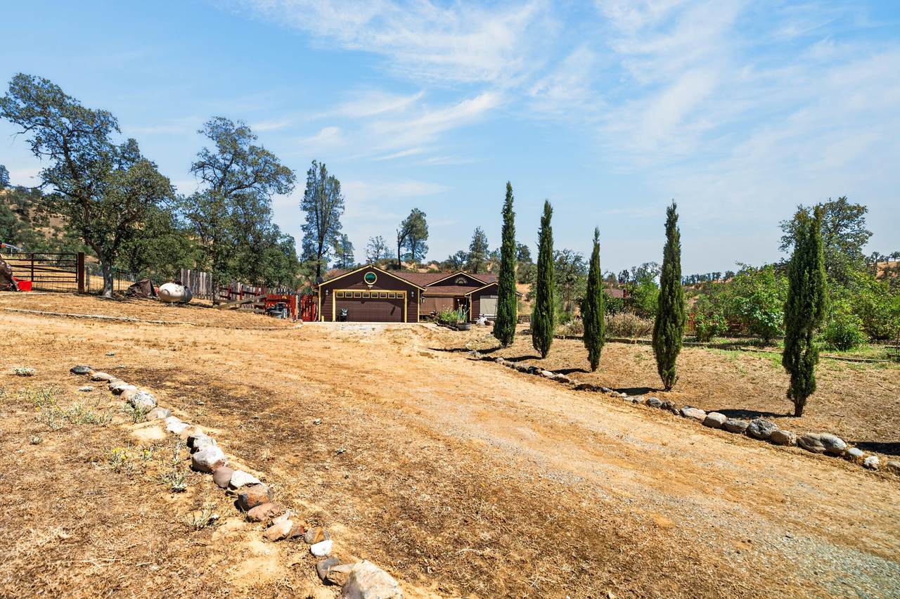 3463 Fiddlers Road - Photo 1