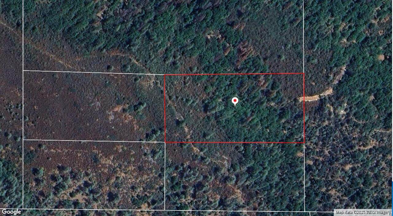 5 acres Platina School Rd-Shady Nook D - Photo 1