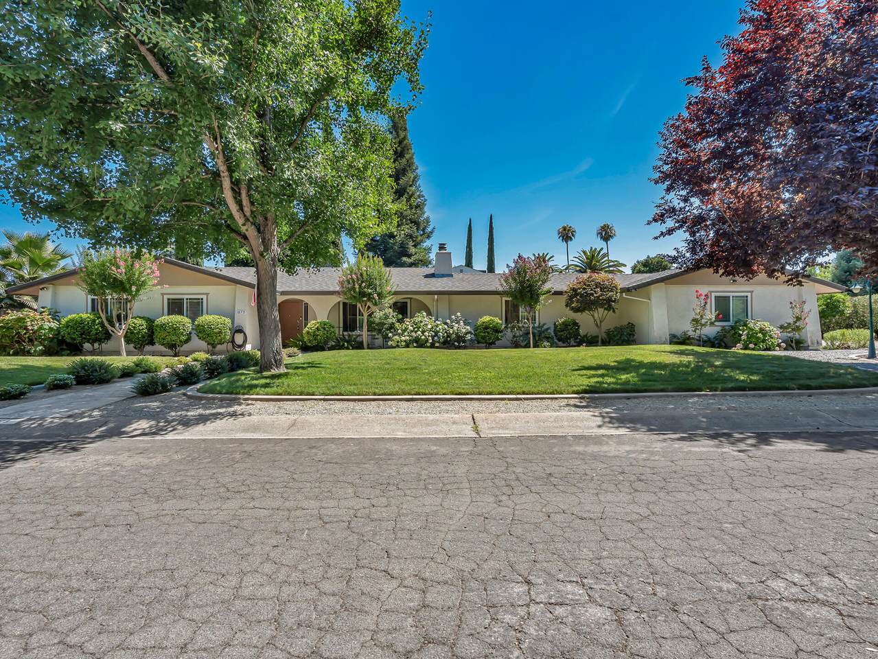 1875 Crestmont Drive - Photo 1