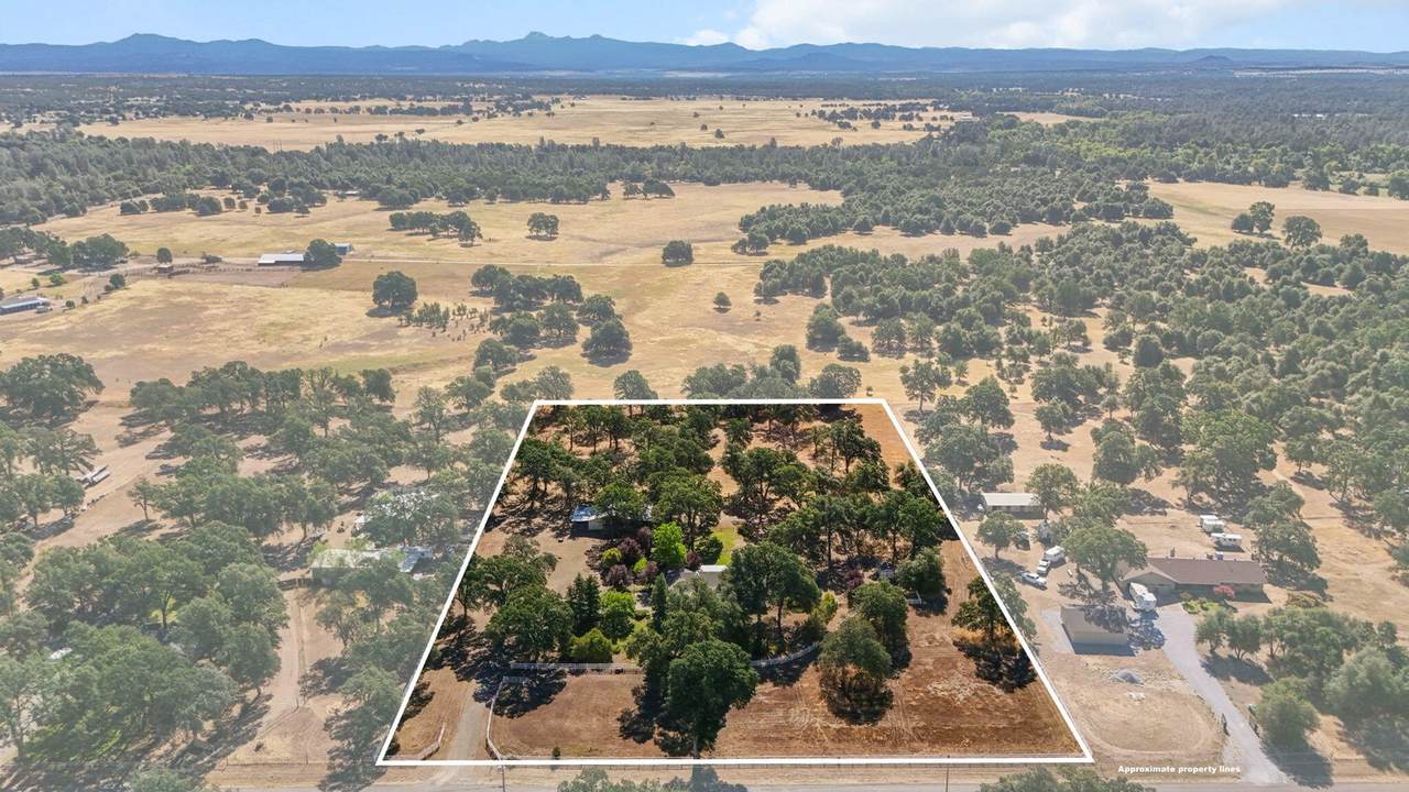 3339 Meadow Oak Drive - Photo 1