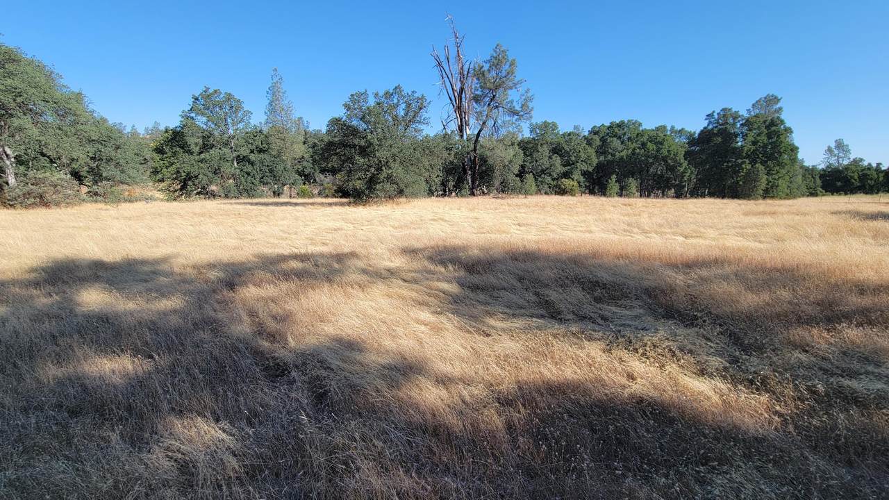 000 Mary Kay Road - Photo 1