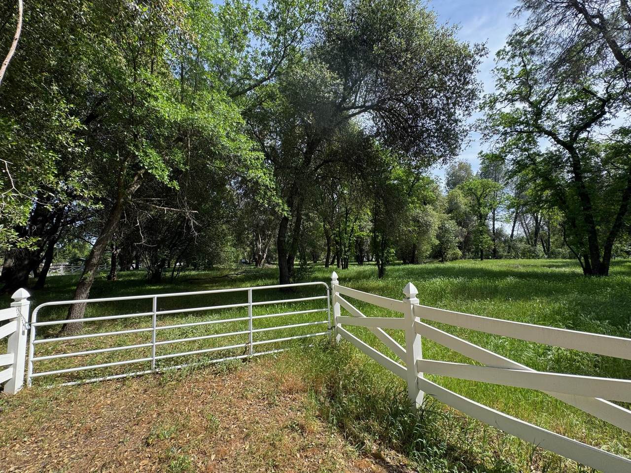  Clough Creek Road - Photo 1