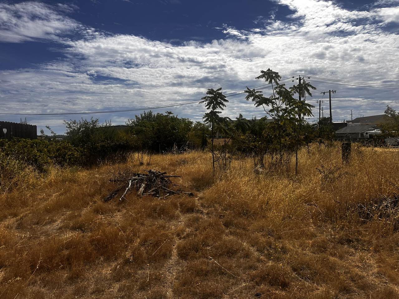 https://bt-photos.global.ssl.fastly.net/shasta/1280_boomver_1_26-3466-2.jpg