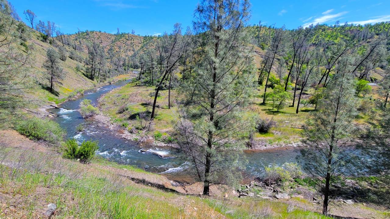 Lot 266 Cottonwood Creek Road - Photo 1