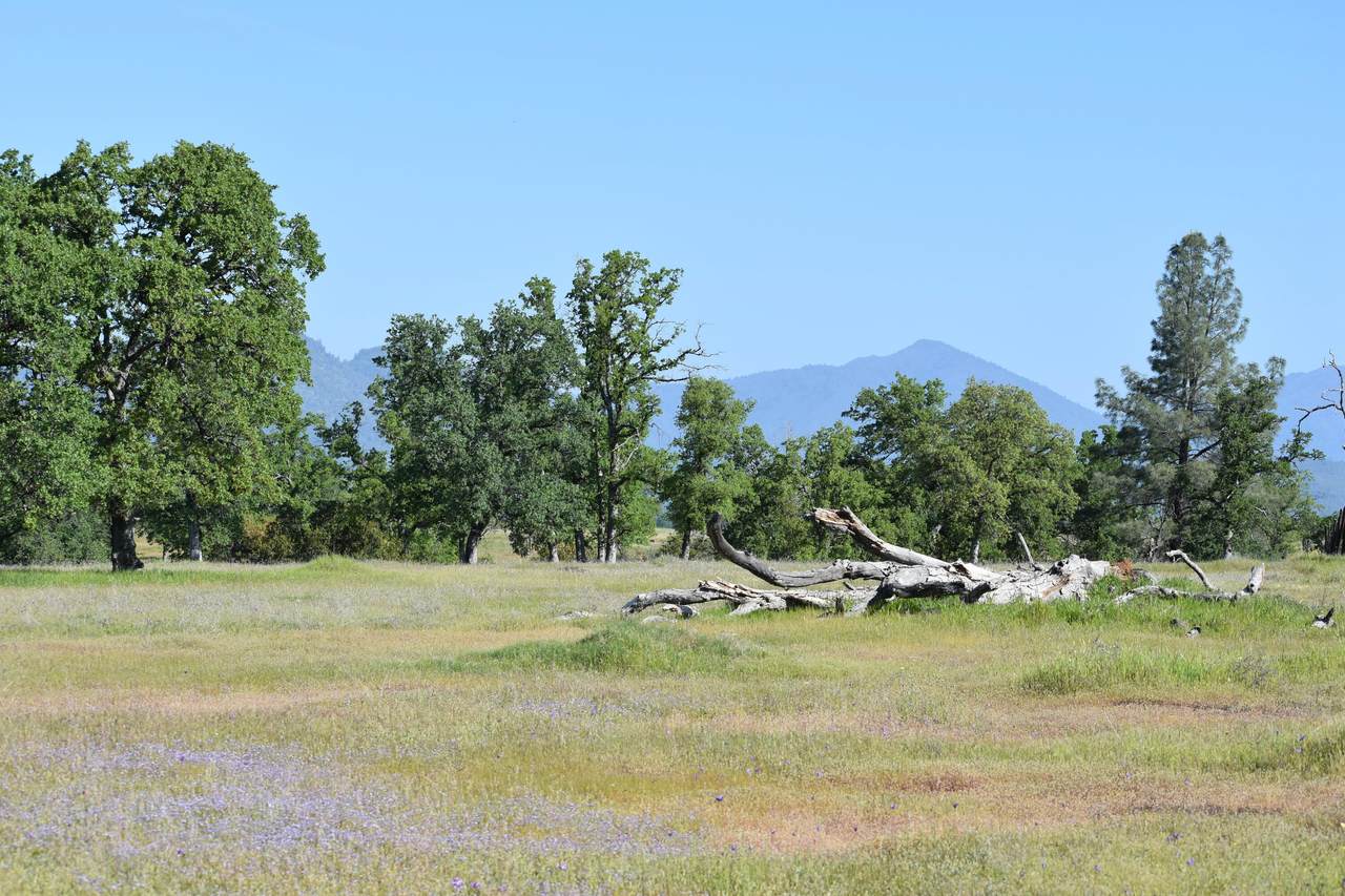 https://bt-photos.global.ssl.fastly.net/shasta/1280_boomver_1_26-3542-2.jpg