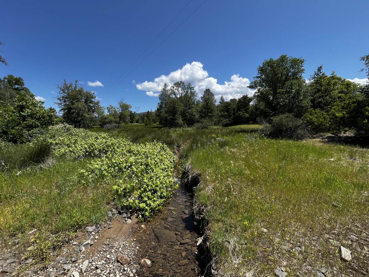 29609 Cedar Creek School Road - Photo 1