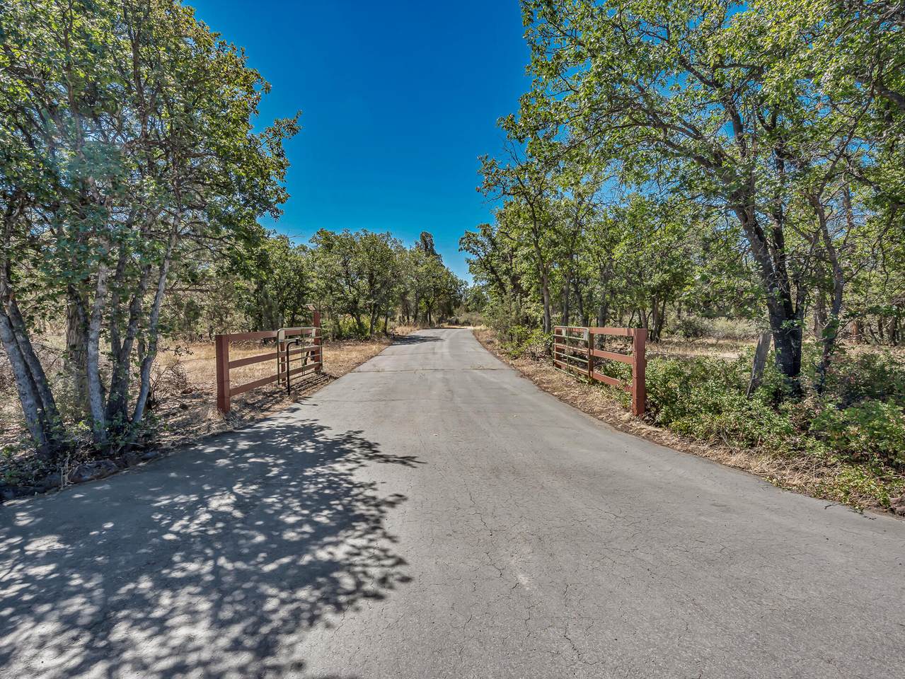 546-400 Old Highway Road - Photo 1