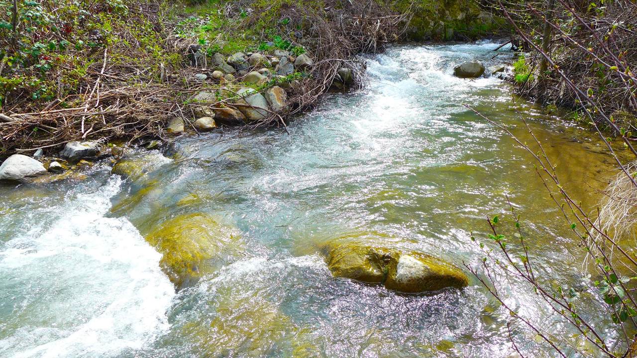 000 French Gulch Road - Photo 1