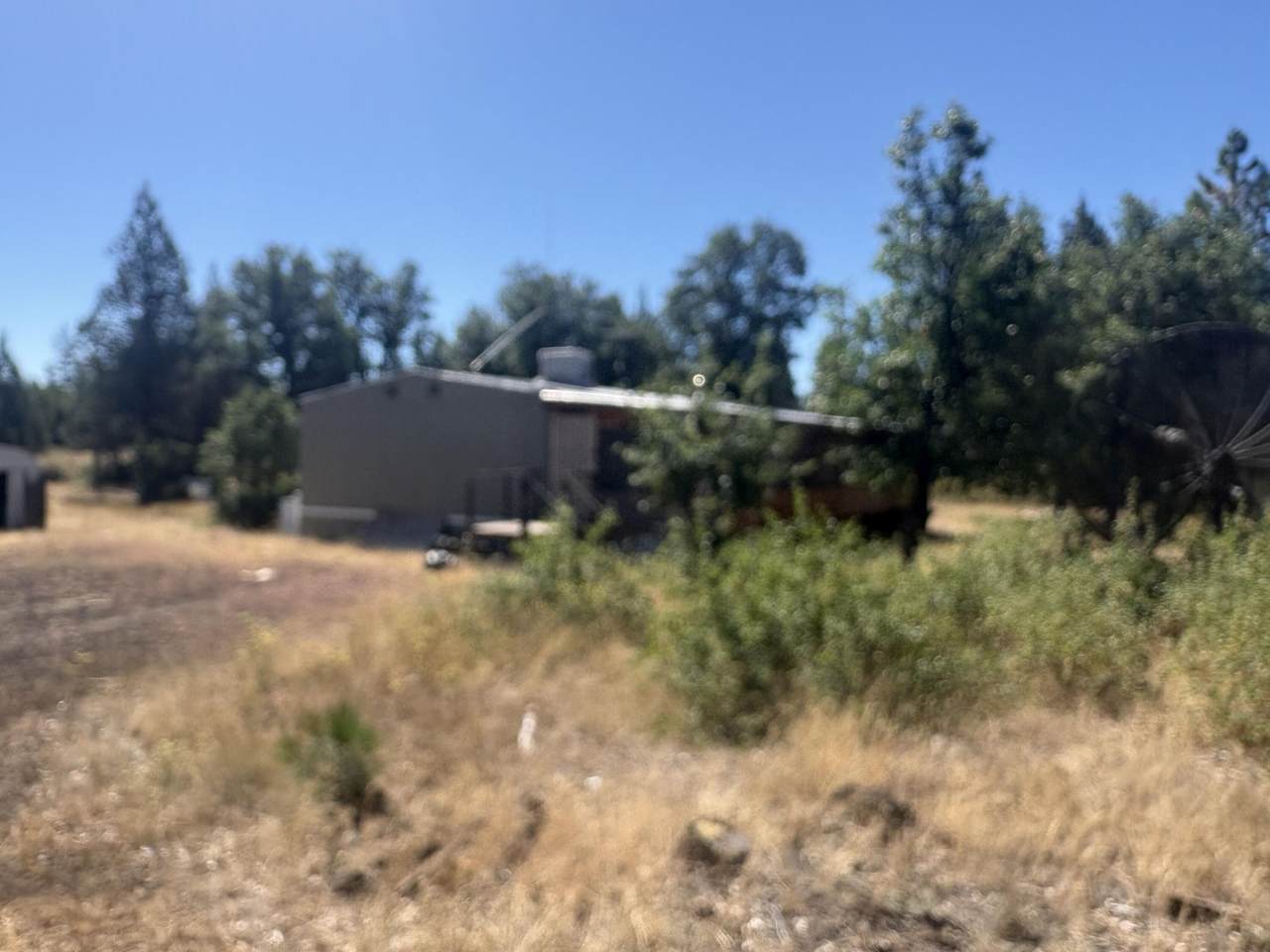 29231 Spencer - Photo 1