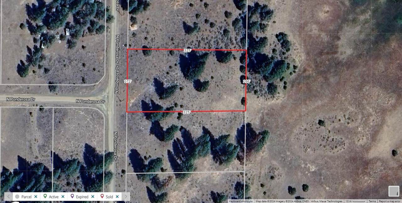 000 Ponderosa Drive - Photo 1