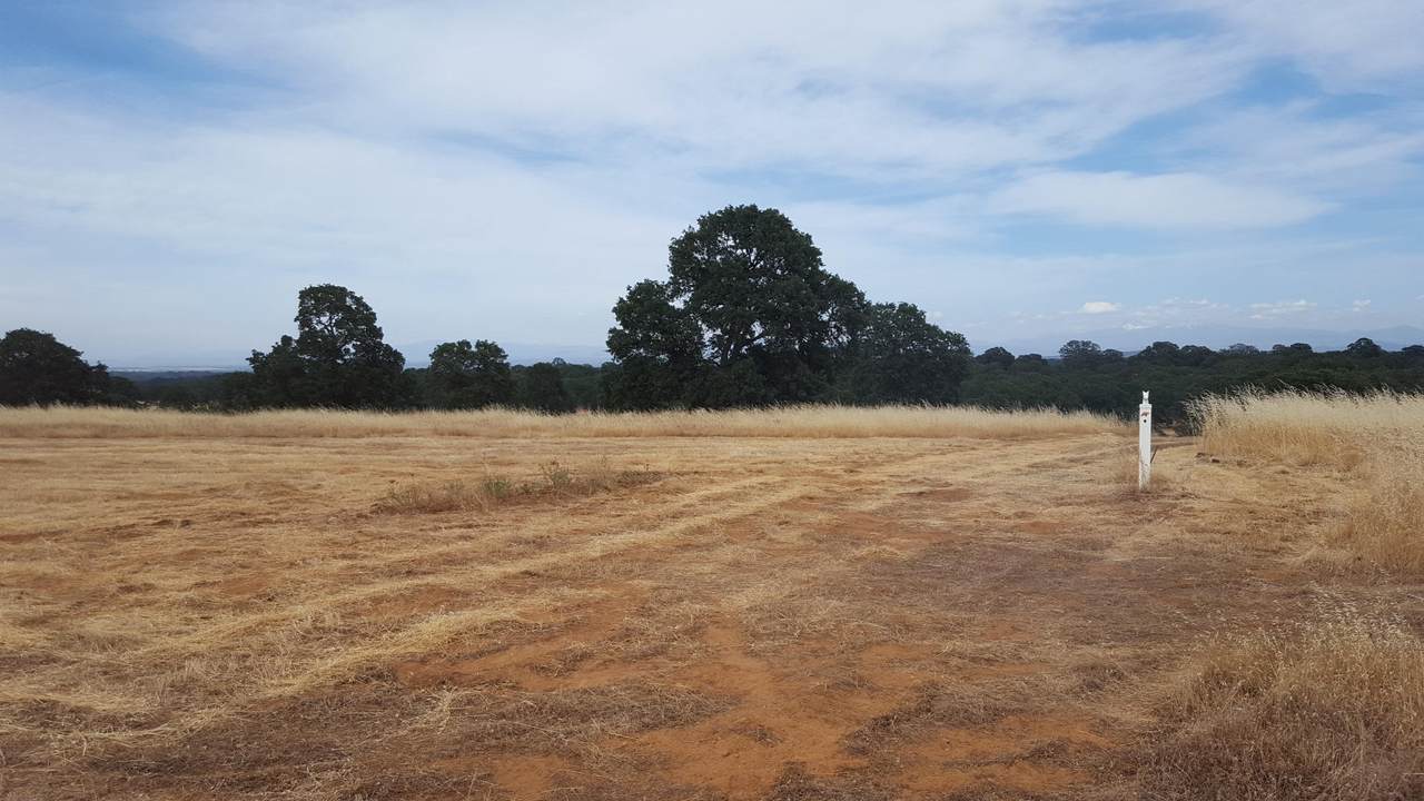 Lot 63 River Downs Way - Photo 1
